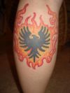 tribal phoenix pic tattoo on calf